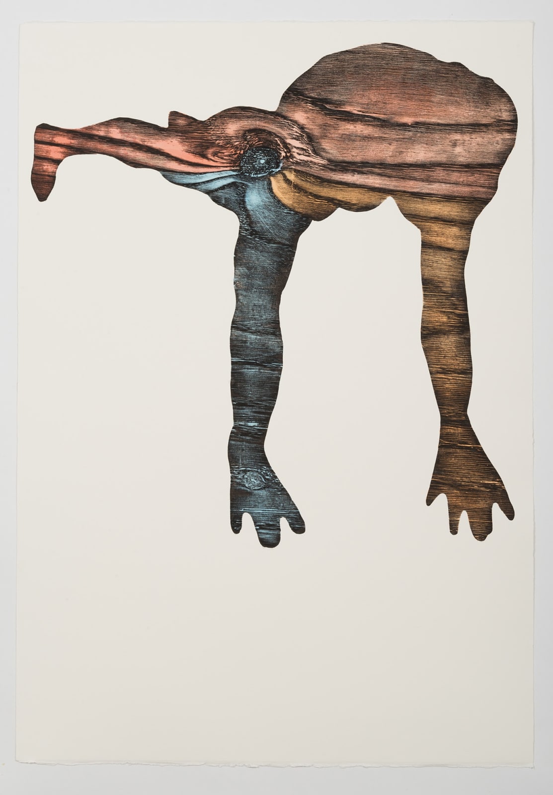 Alice Maher, Vox Hybrida, 2018