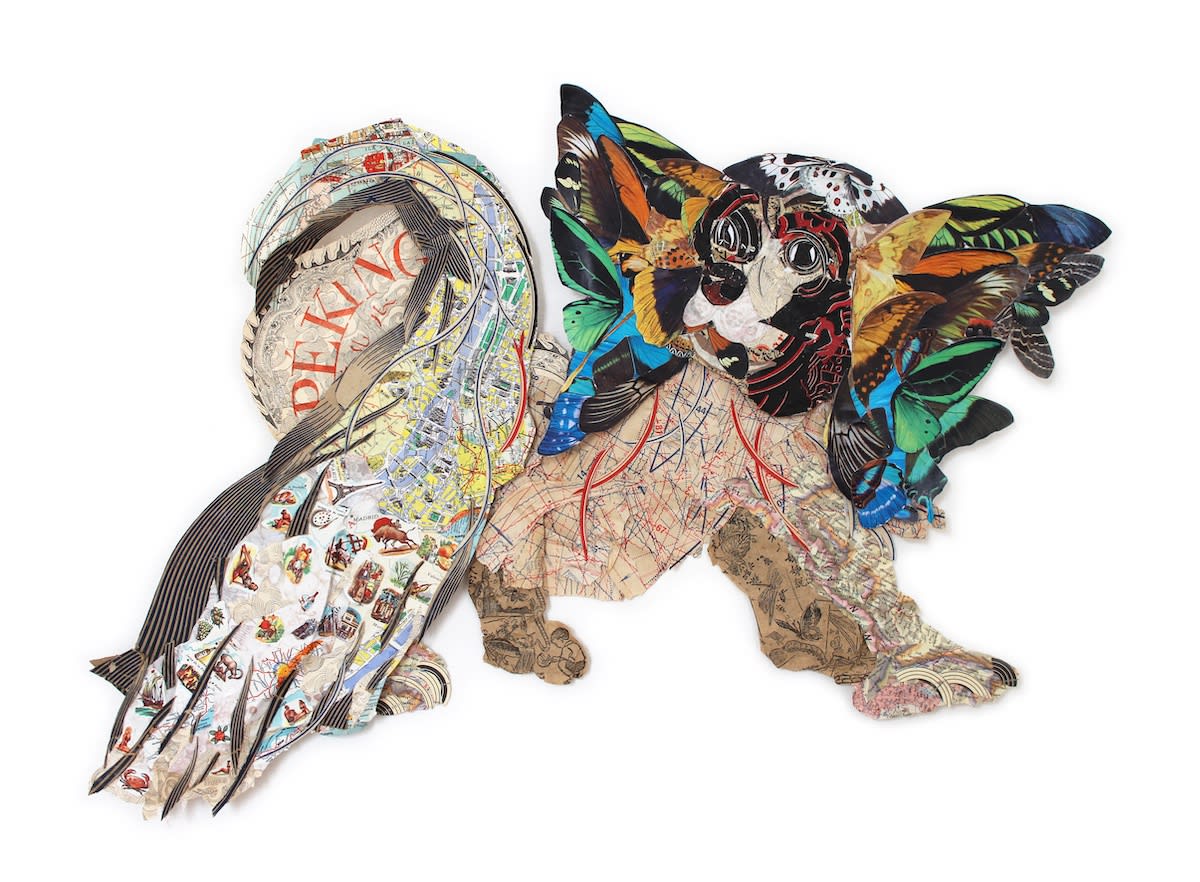 Peter Clark, Pappa Papillon, 2019