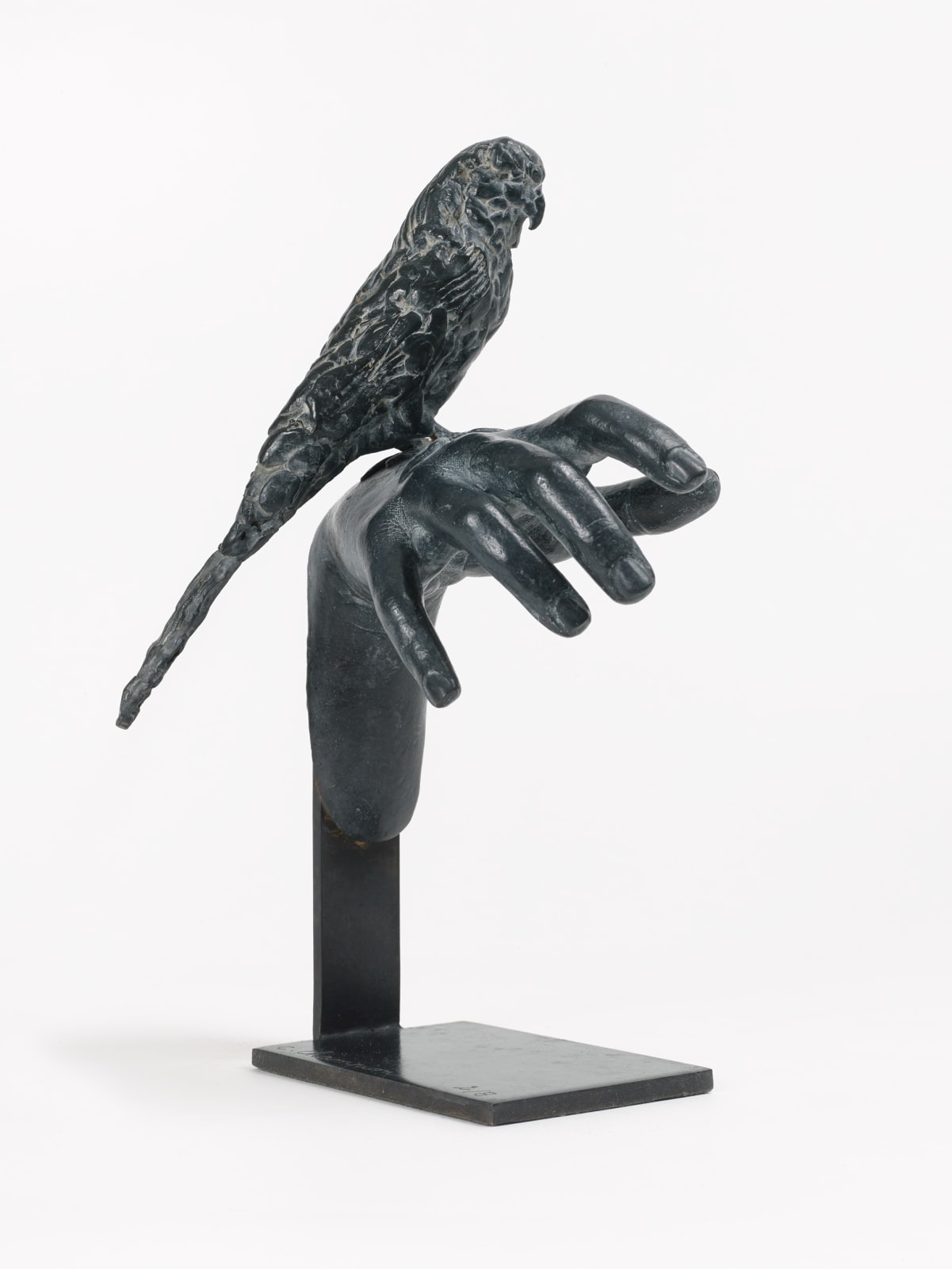 Charlotte Champion, Perruchette, 2018