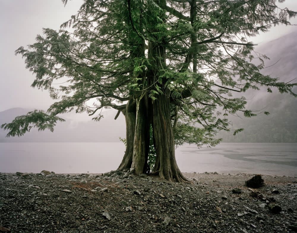 Mikael Lafontan, Canada, Vancouver Islande. Cameron Lake