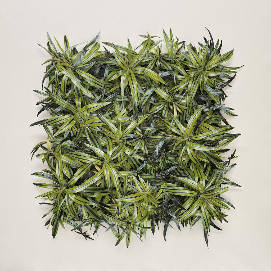 Camille Levert, Hong Kong flora #8, 2023