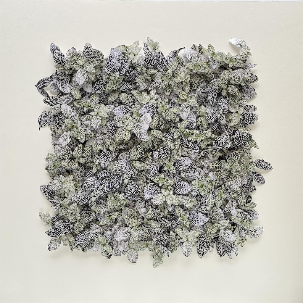 Camille Levert, Hong Kong flora #7, 2023
