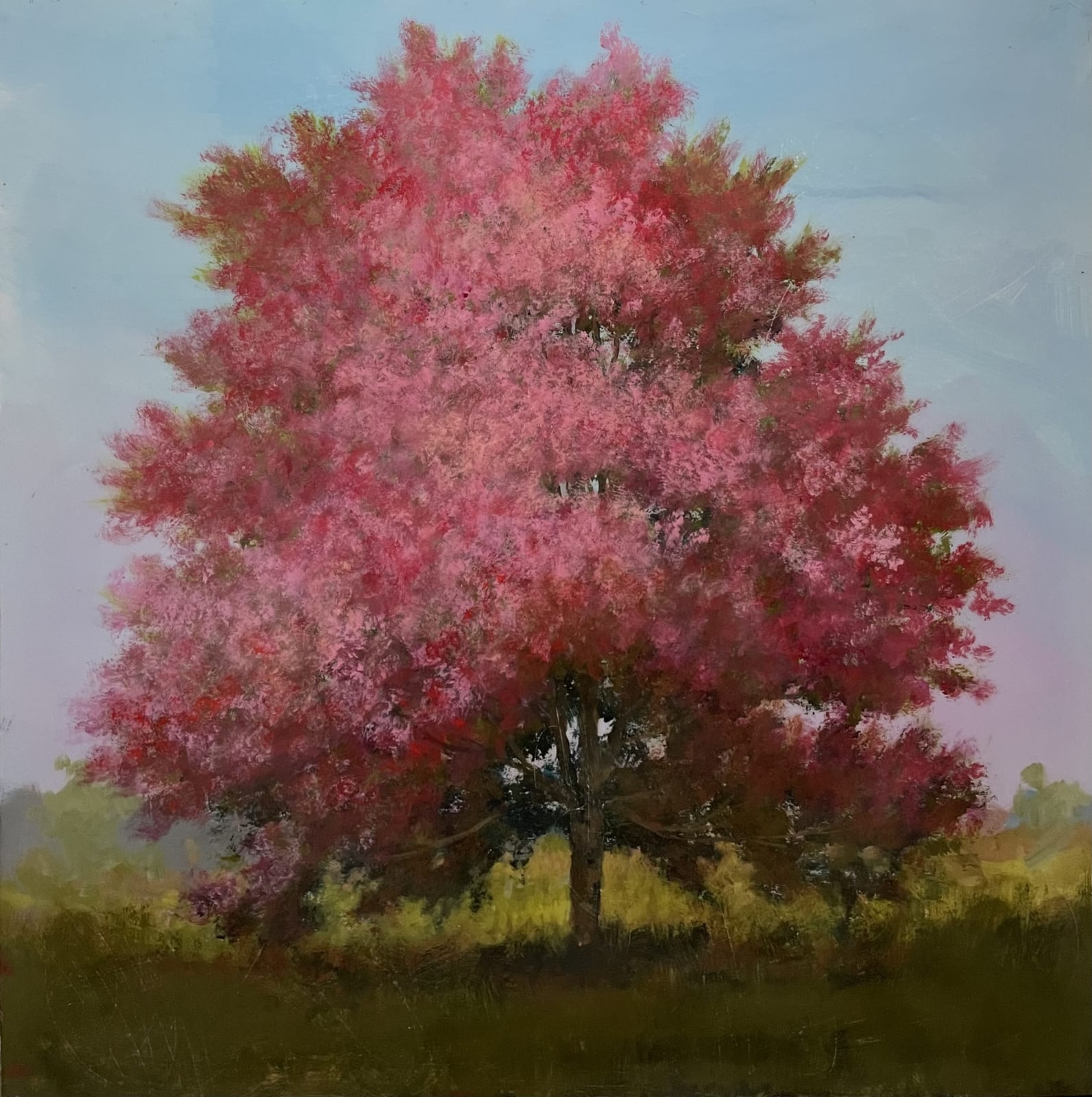 Peter Hoffer, Arbre rose 3, 2023