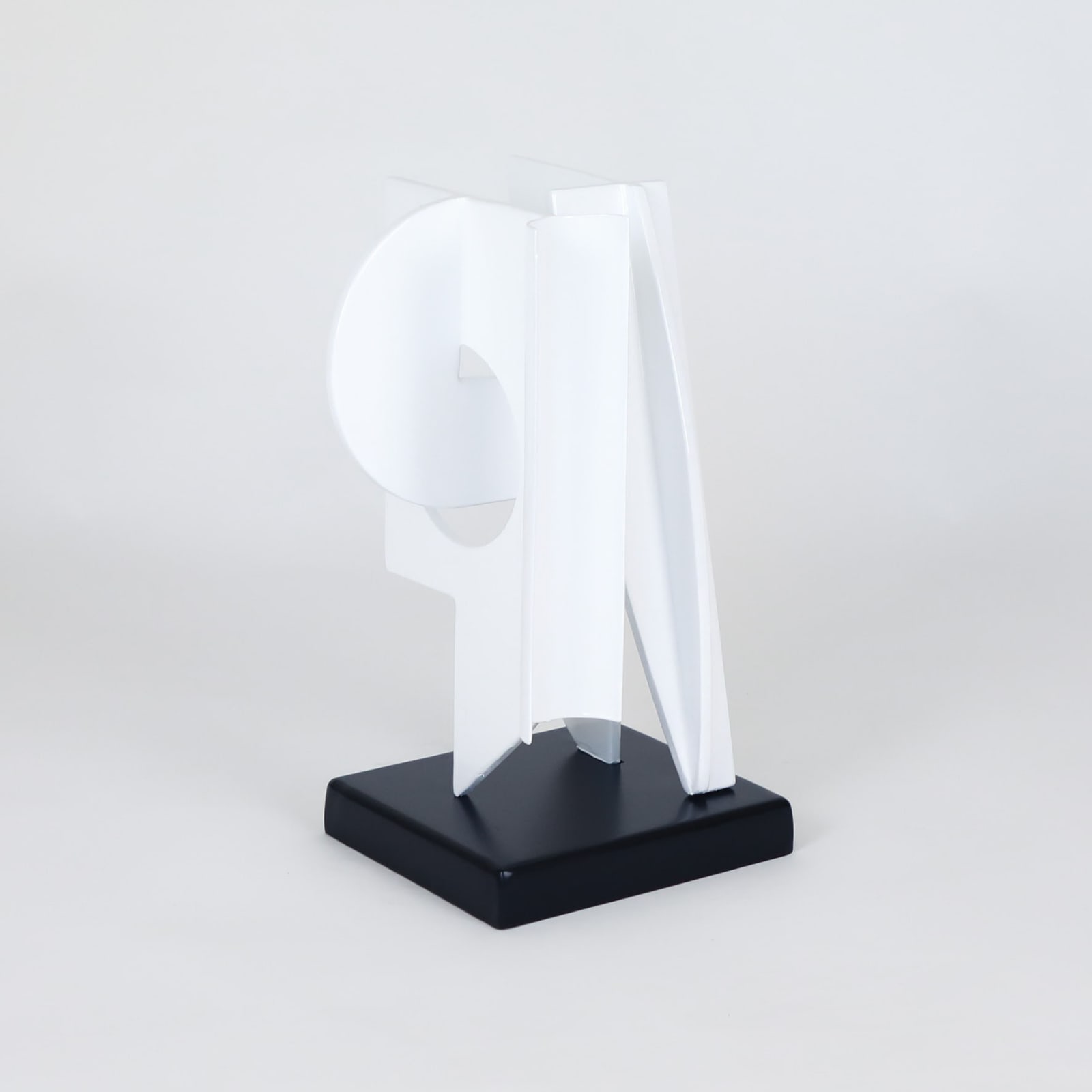 Nicolas Dubreuille, Ref. 340, 2021