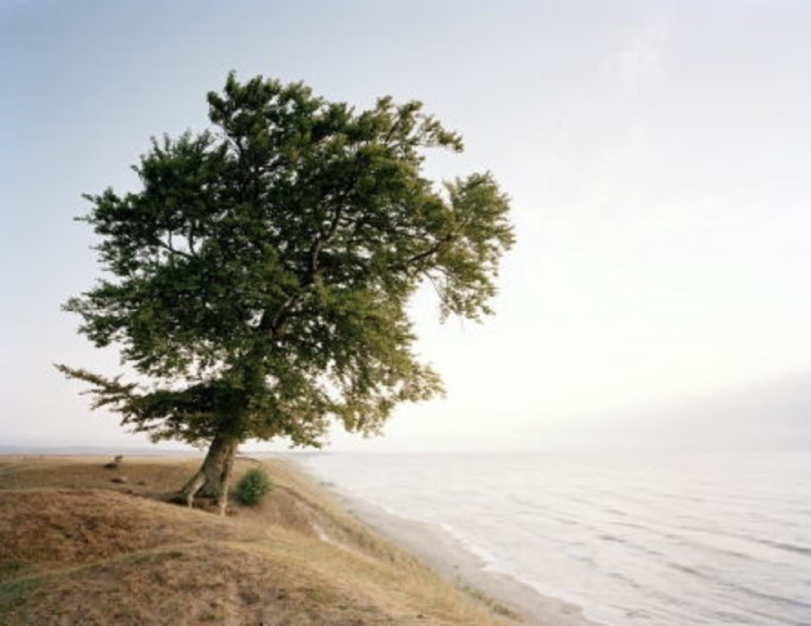 Mikael Lafontan, Yngsoe, 2010