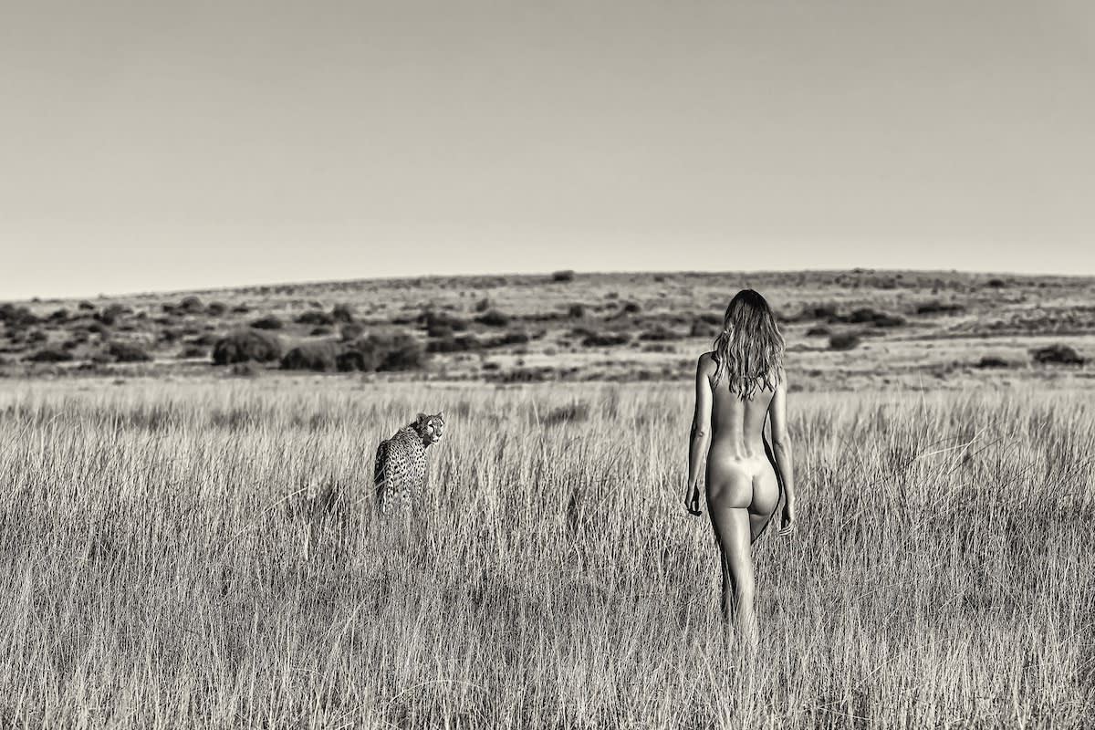 Cécile Plaisance, Into the wild (II), 2022