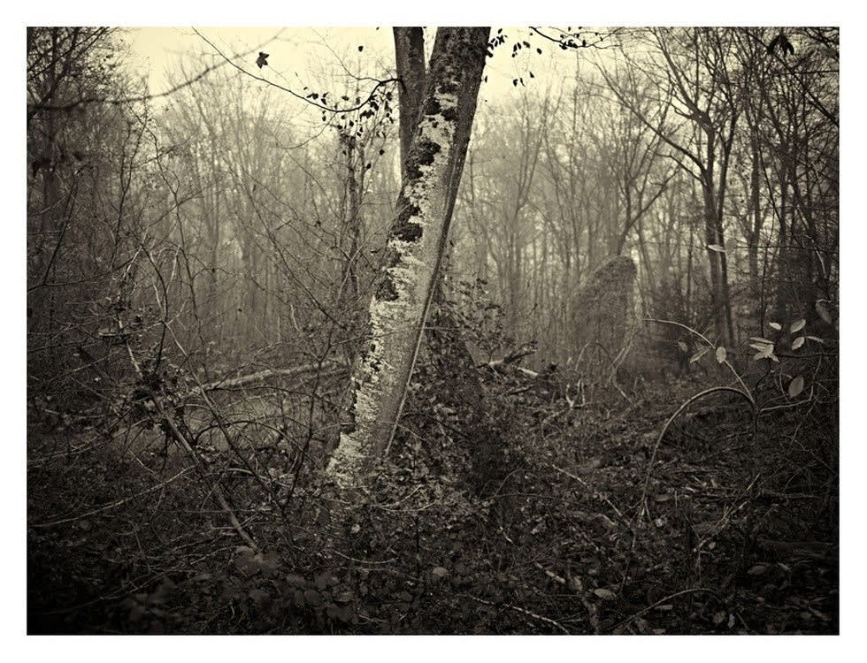 Mikael Lafontan, Fontainebleau p572 93, 2011