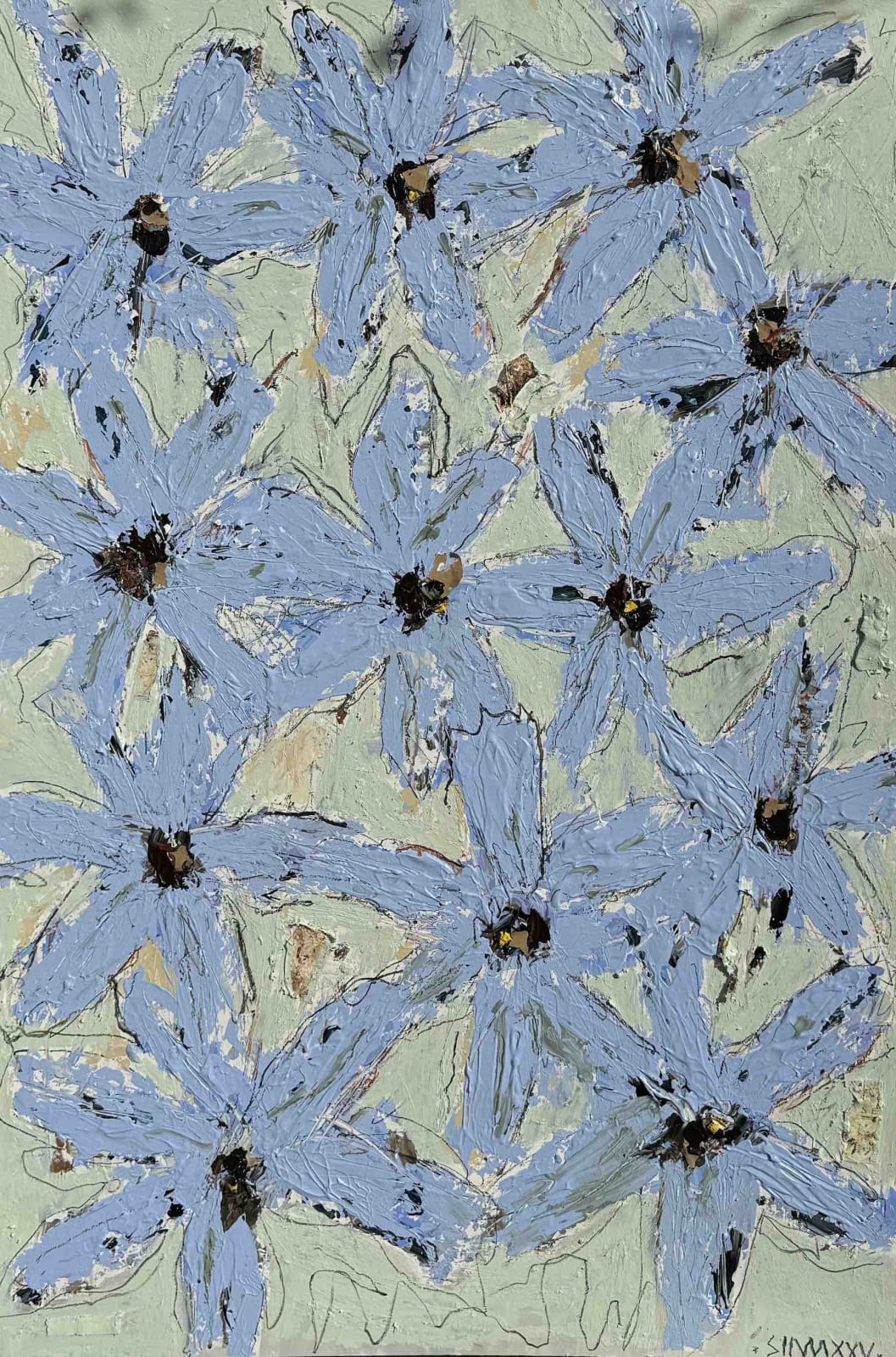 Silvia Calmejane, Les fleurs étoilées 5, 2025