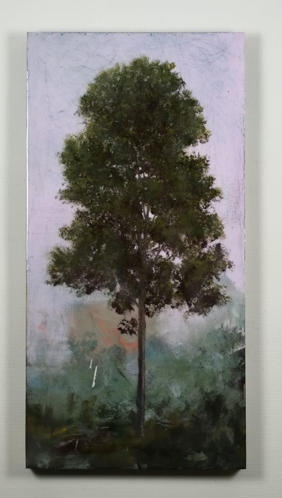 Peter Hoffer, Charlotte, 2019