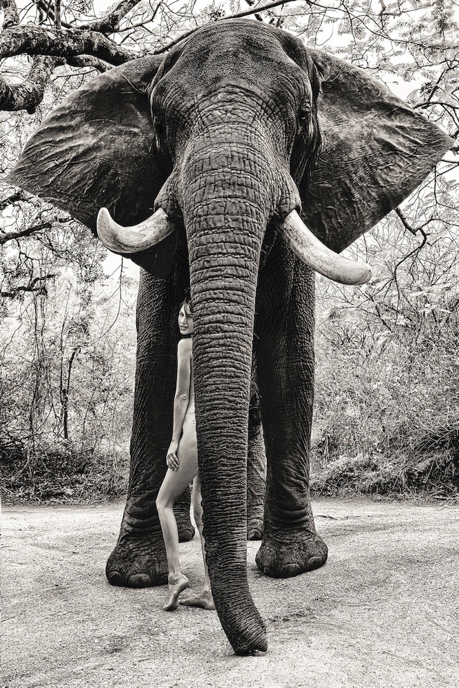 Cécile Plaisance, Under Tembo's Protection, 2022