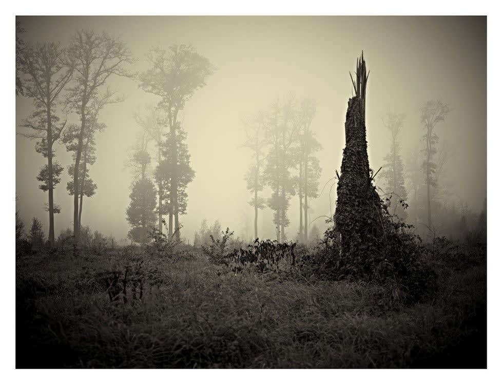 Mikael Lafontan, Fontainebleau p542 236, 2011