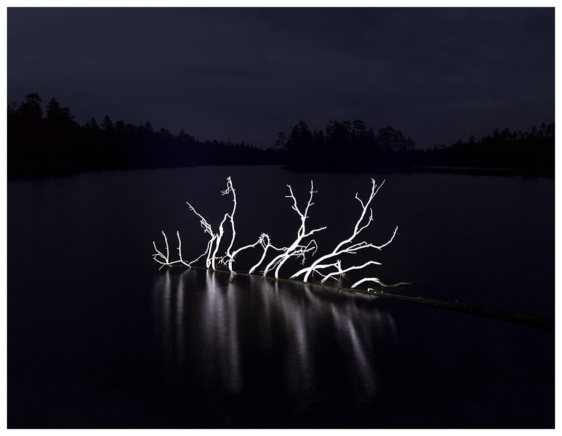 Mikael Lafontan, Le Marais de Carélie, Finlande, 2016