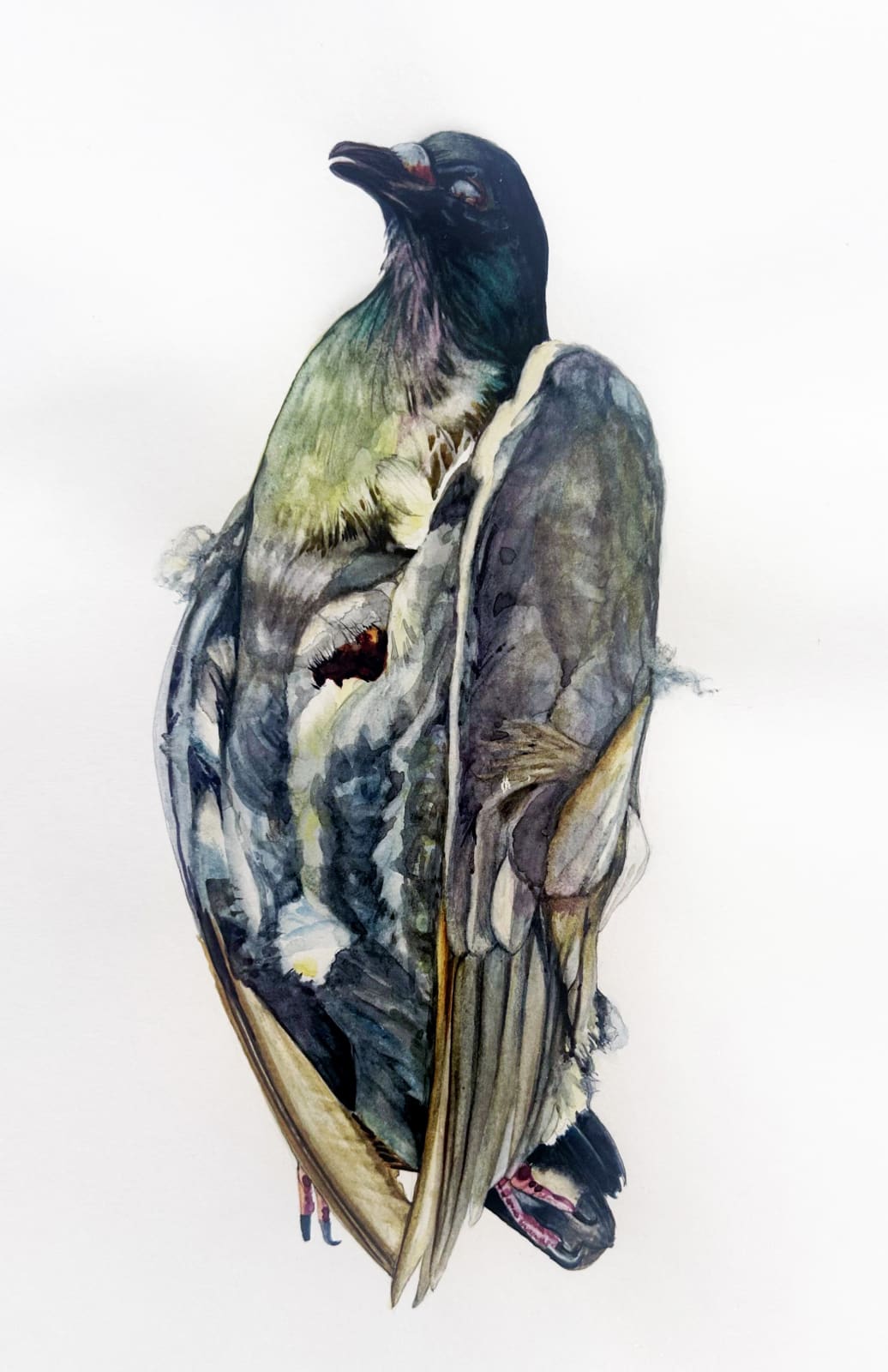 Andrea Bersaglieri, The Sentinel