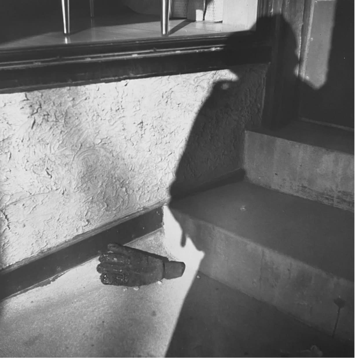 Vivian Maier, Self-Portrait, Chicago area, 1960 (Click for Details), Printed later