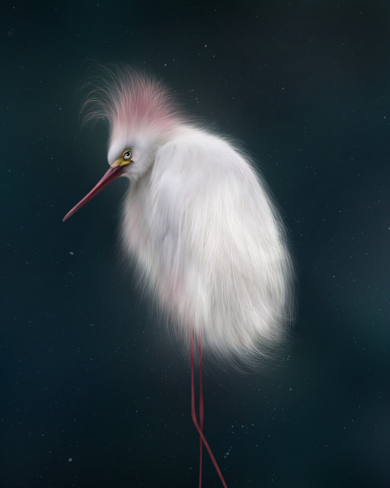 Peppa potter, Mischevious Bird