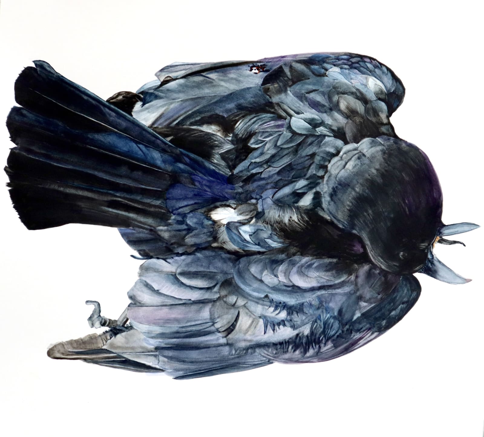 Andrea Bersaglieri, St. Margaret Clithrow (Flattened Crow)