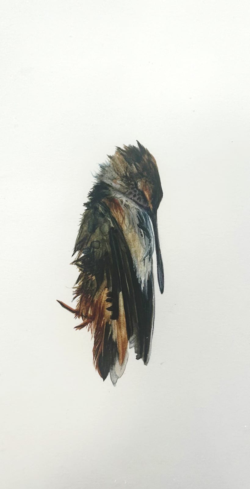 Andrea Bersaglieri, Dangleganger