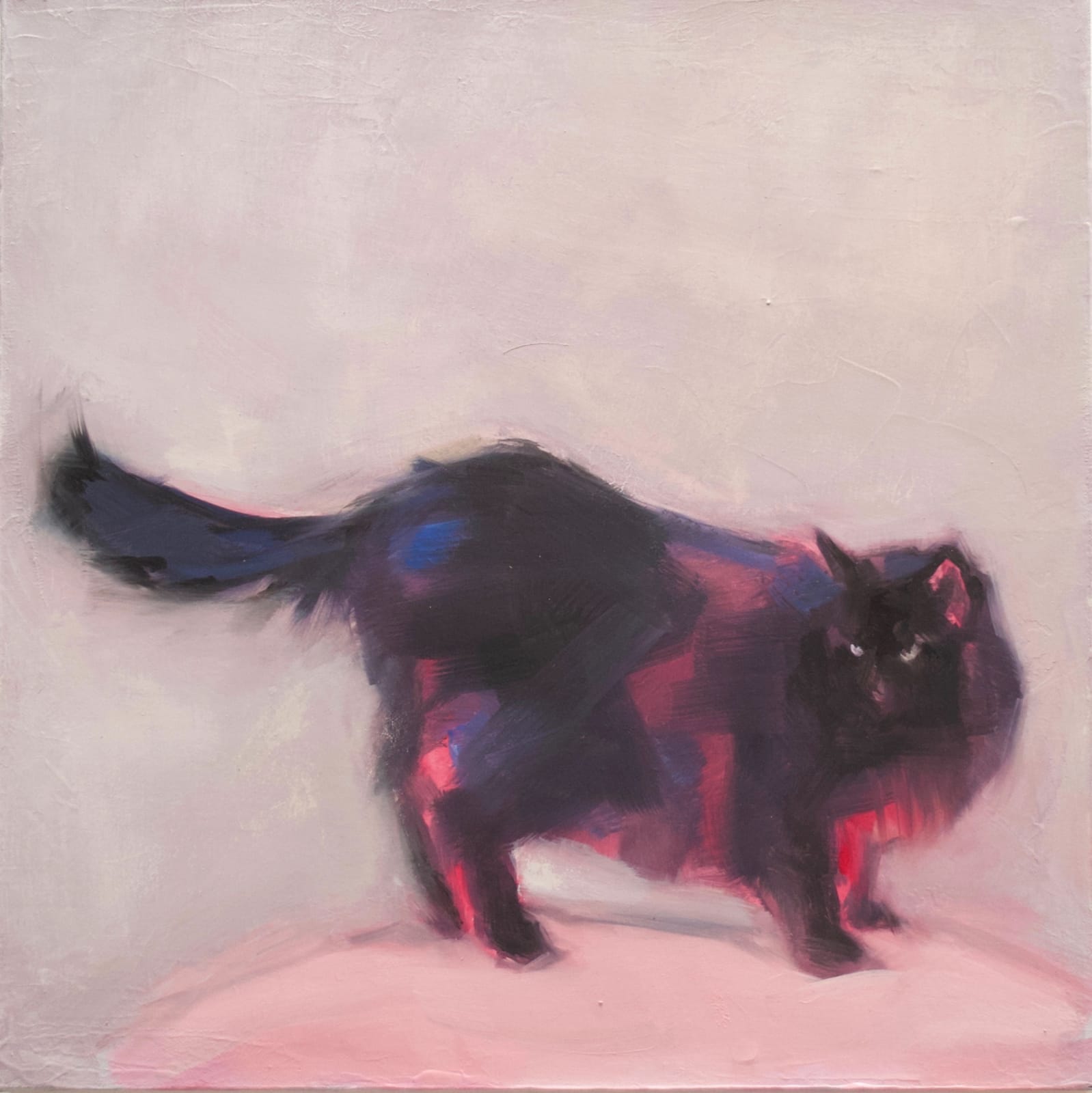 Kim Kimbro, Bad Kitty