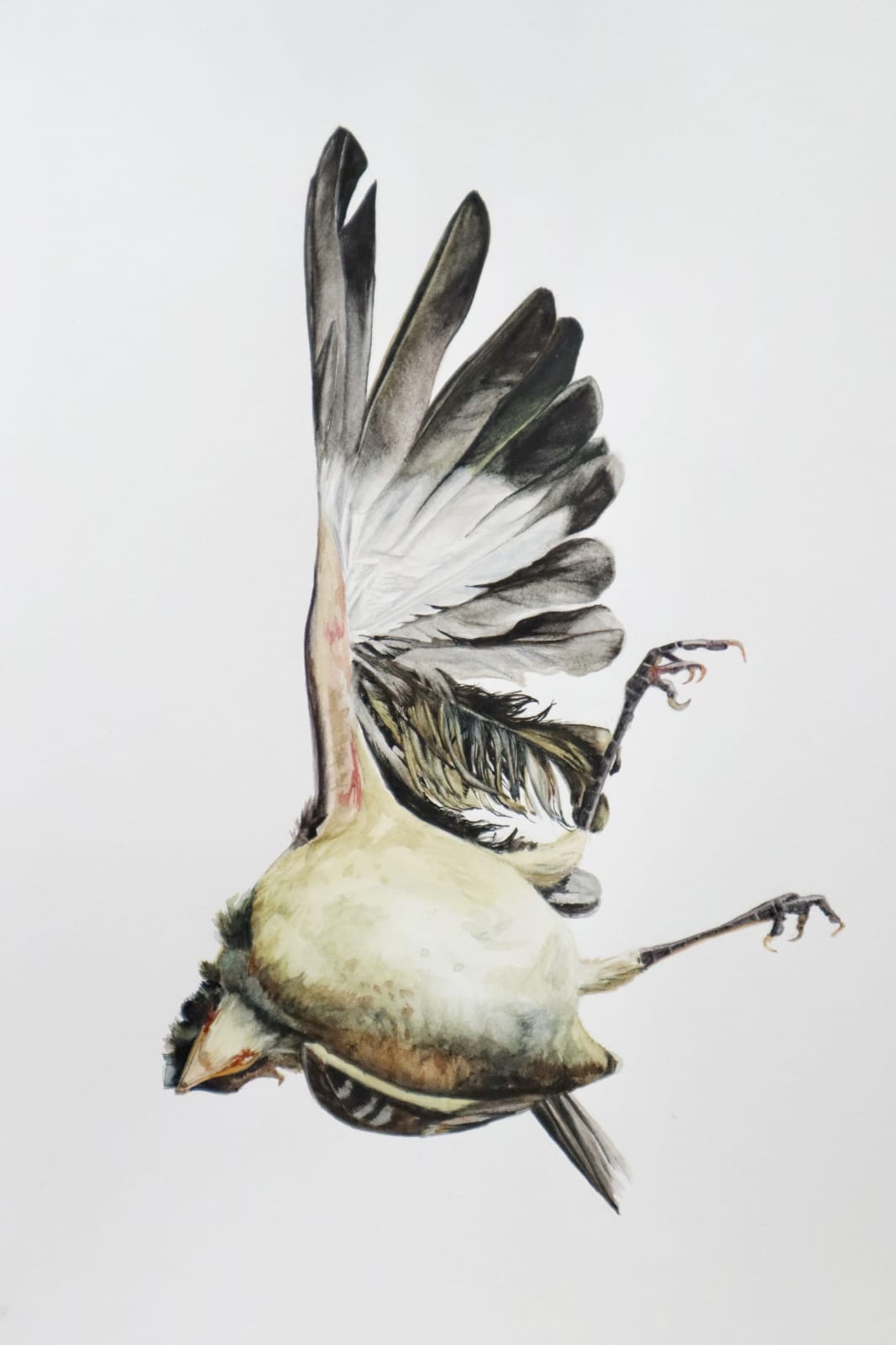 Andrea Bersaglieri, Pendulum, 2023