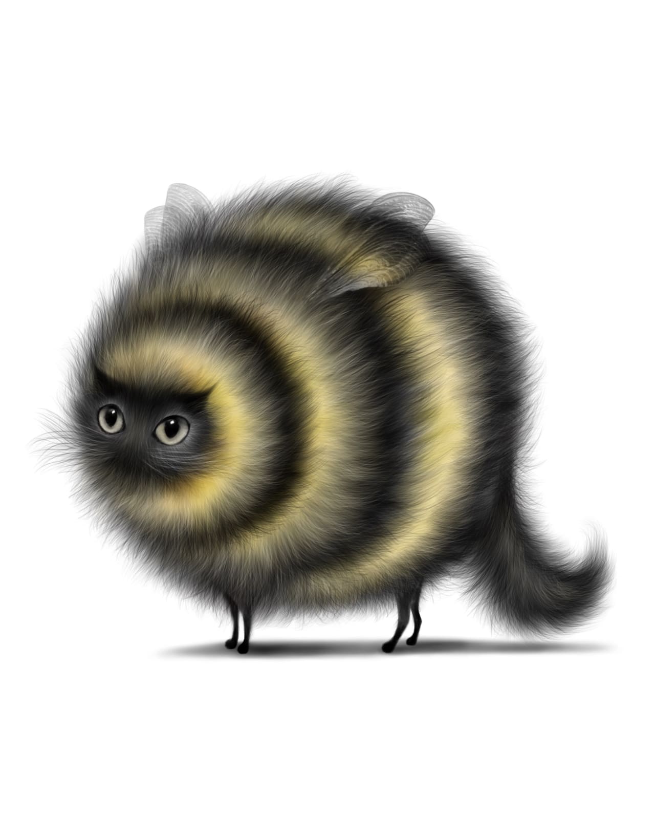 Peppa Potter, Bee Cat