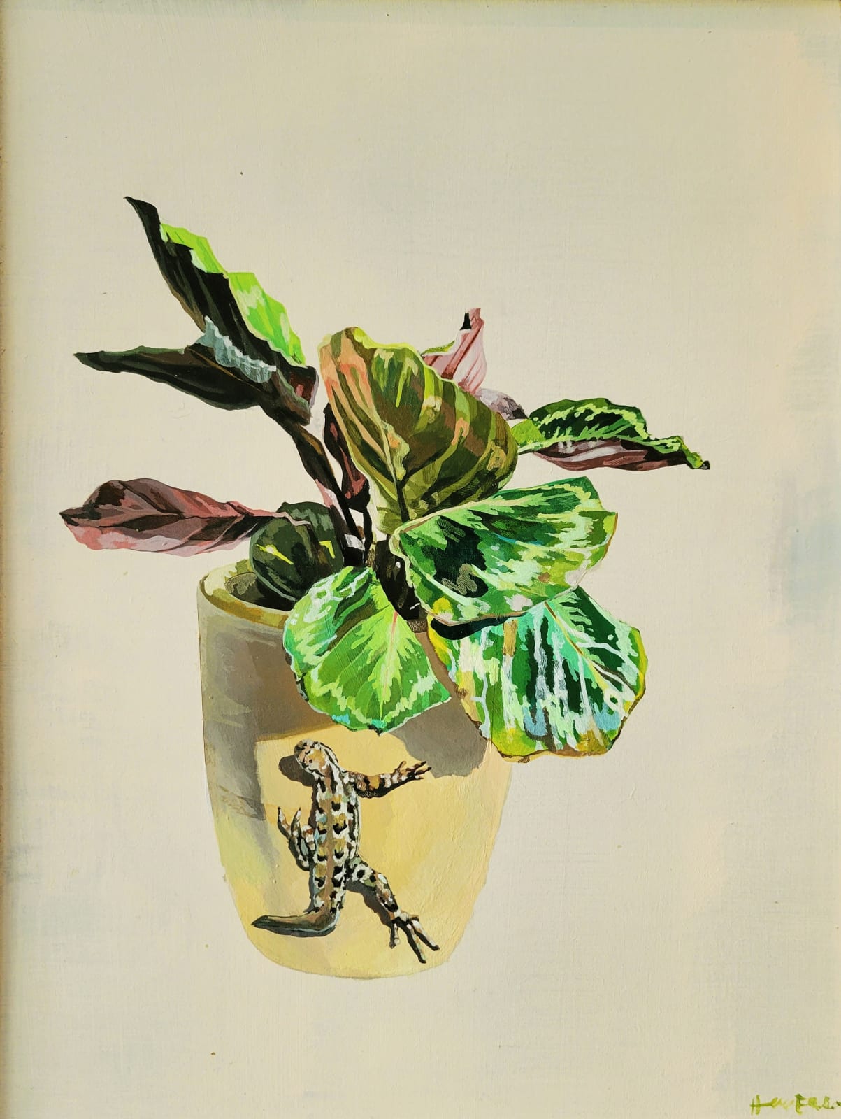 Holly Elander, Lizard