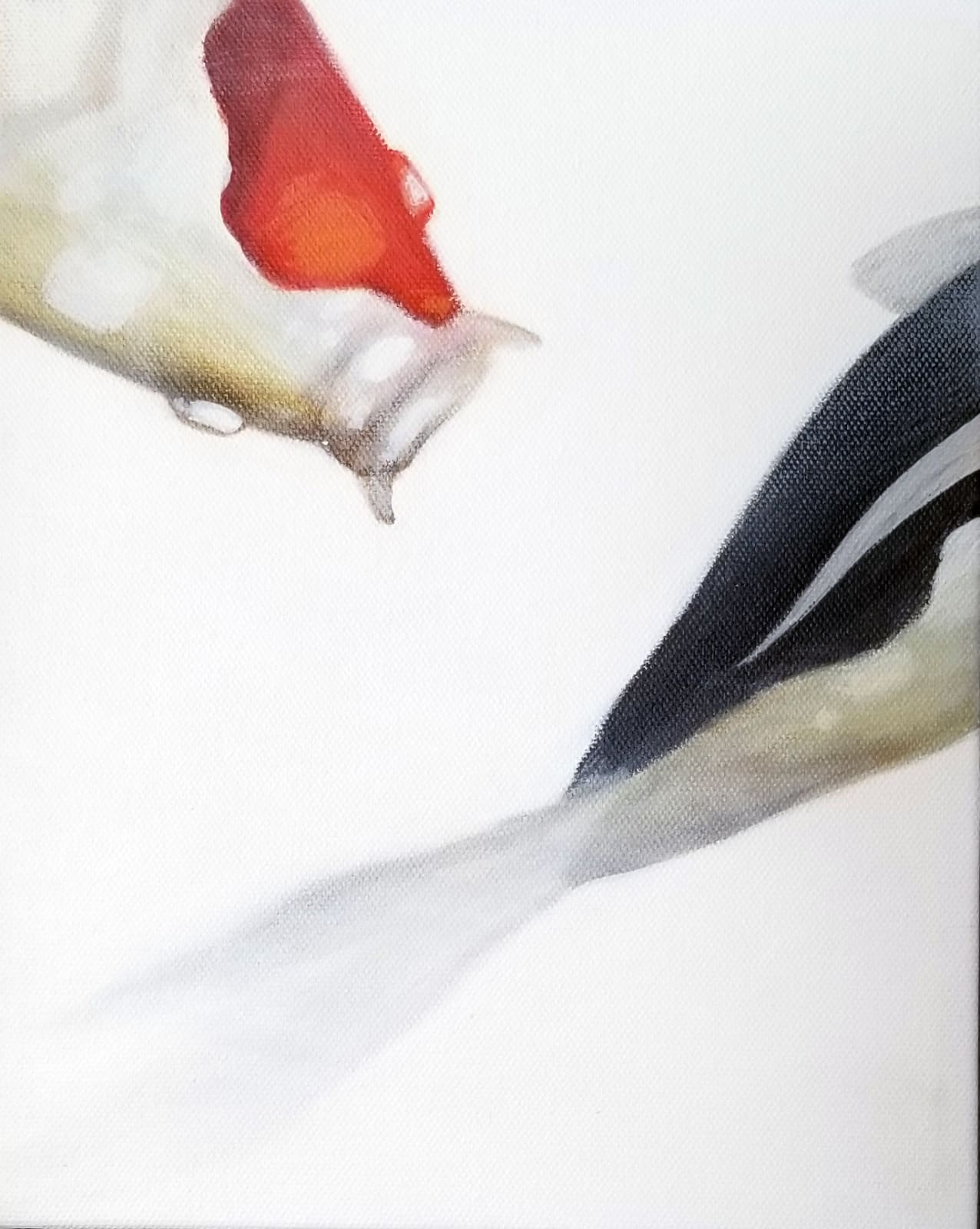 AXIS, Koi Study #1