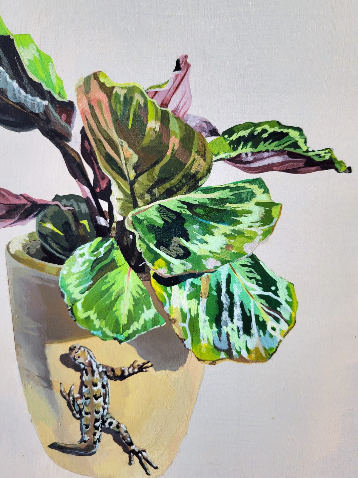 Holly Elander, Lizard