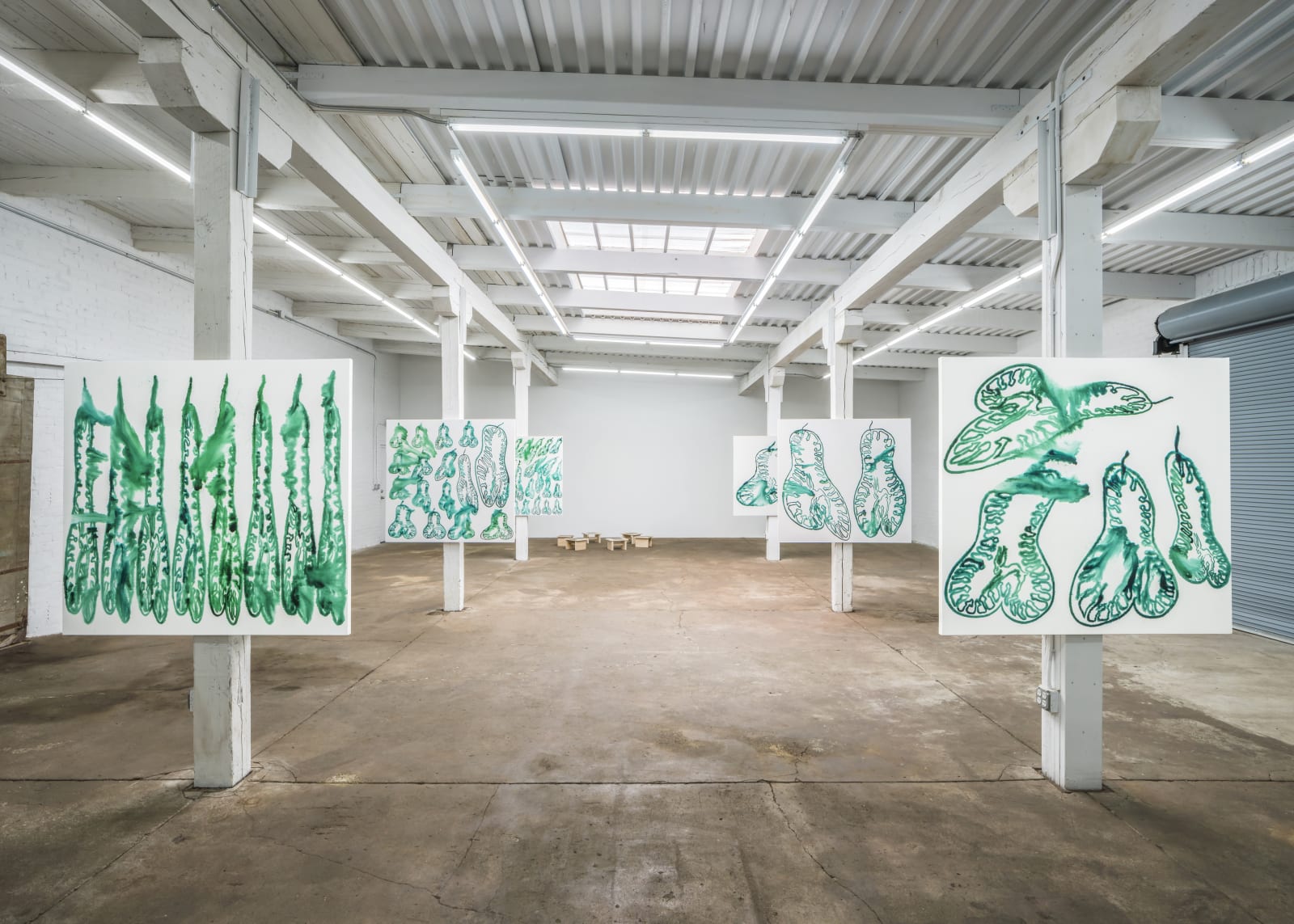 BROOK HSU installation view, Fruiting Body, Bahamas Biennale, Detroit, 2018