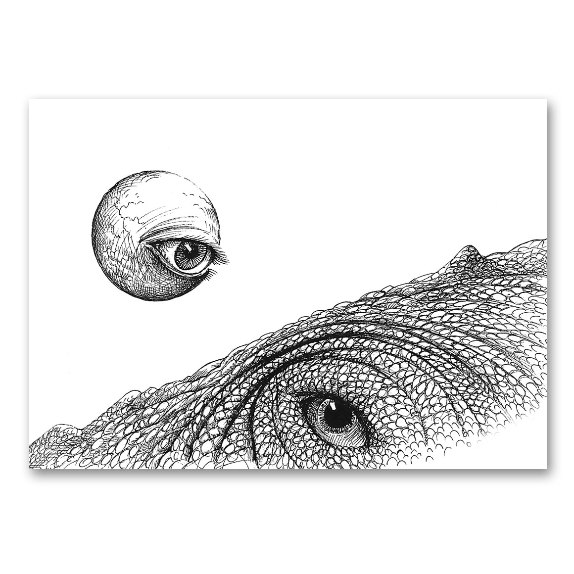OBSERVATION