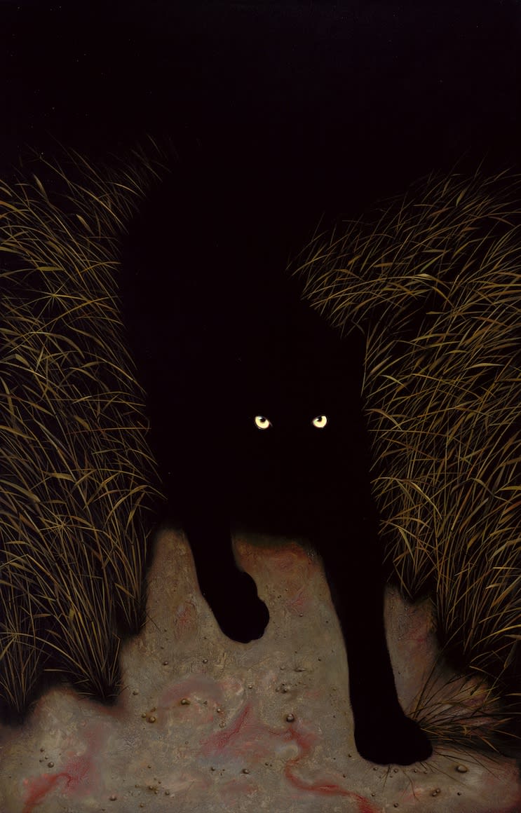 STEALTHY NIGHT
