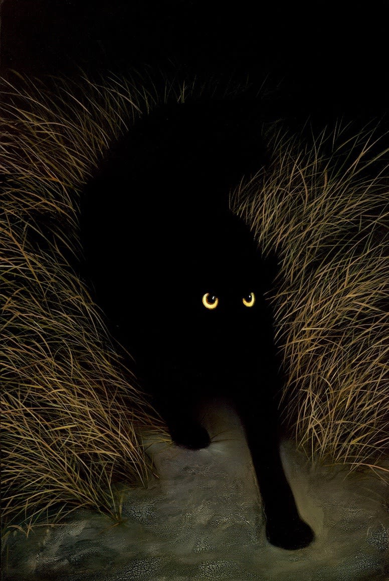 SNEAKING NIGHT