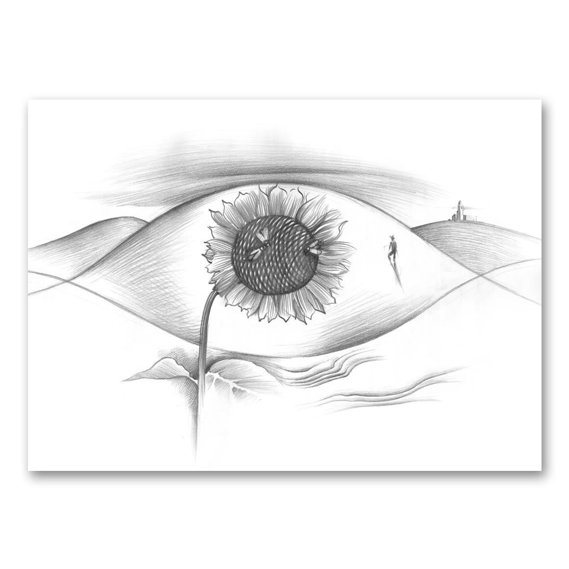SUNFLOWER EYE