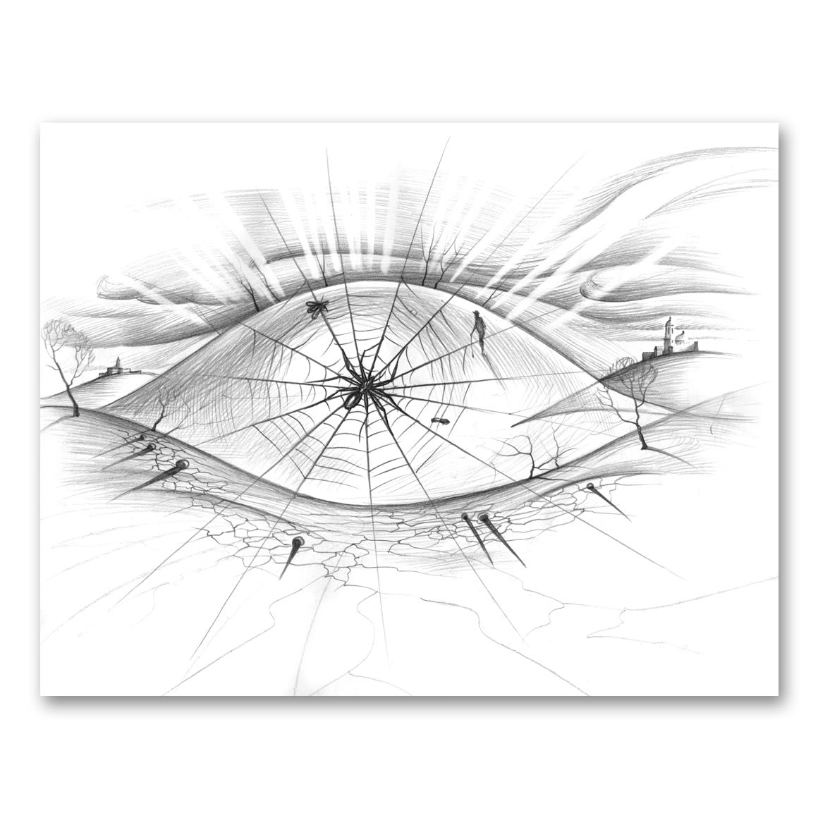 SPIDER EYE