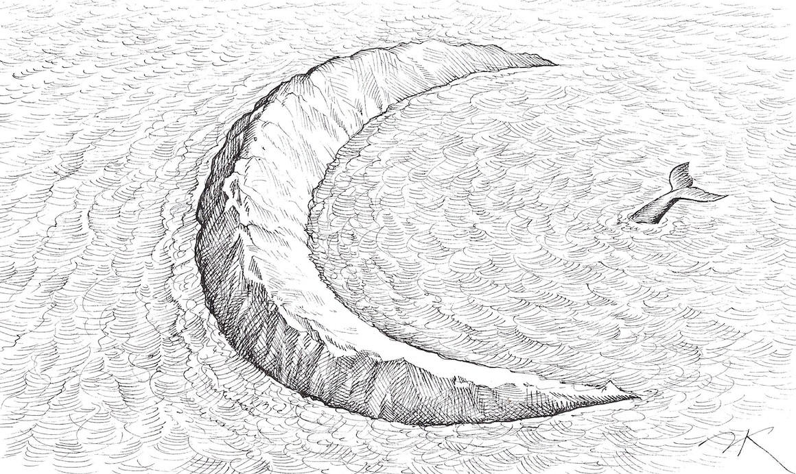 HORSE SHOE ISLAND