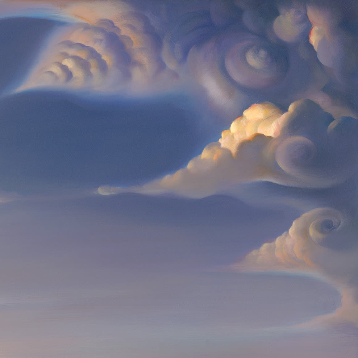 THE SEASHELL - 34 x 45.5 INCHES