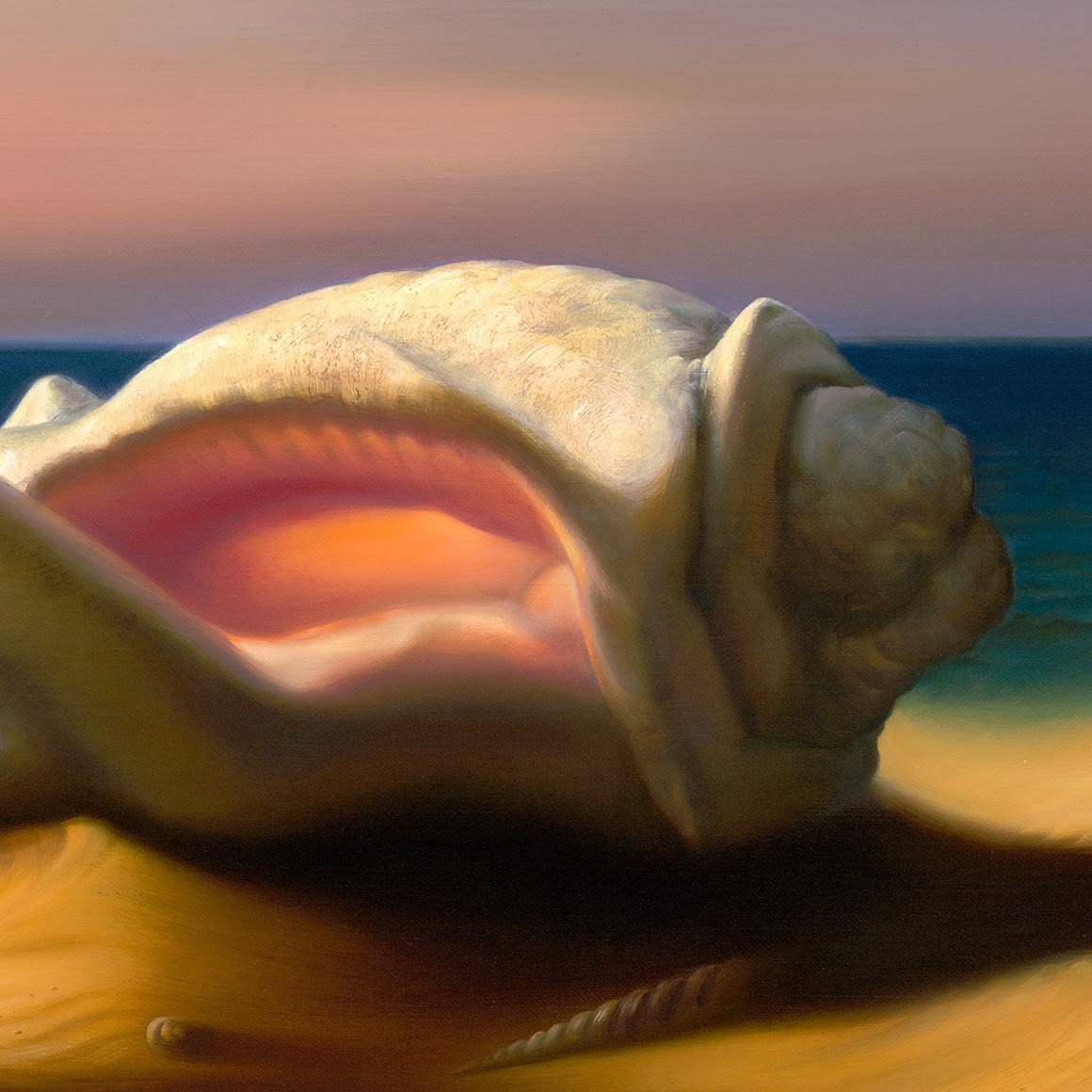 THE SEASHELL - 34 x 45.5 INCHES