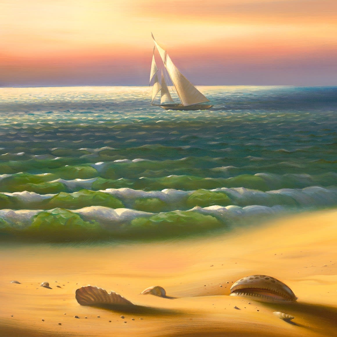 THE SEASHELL - 34 x 45.5 INCHES