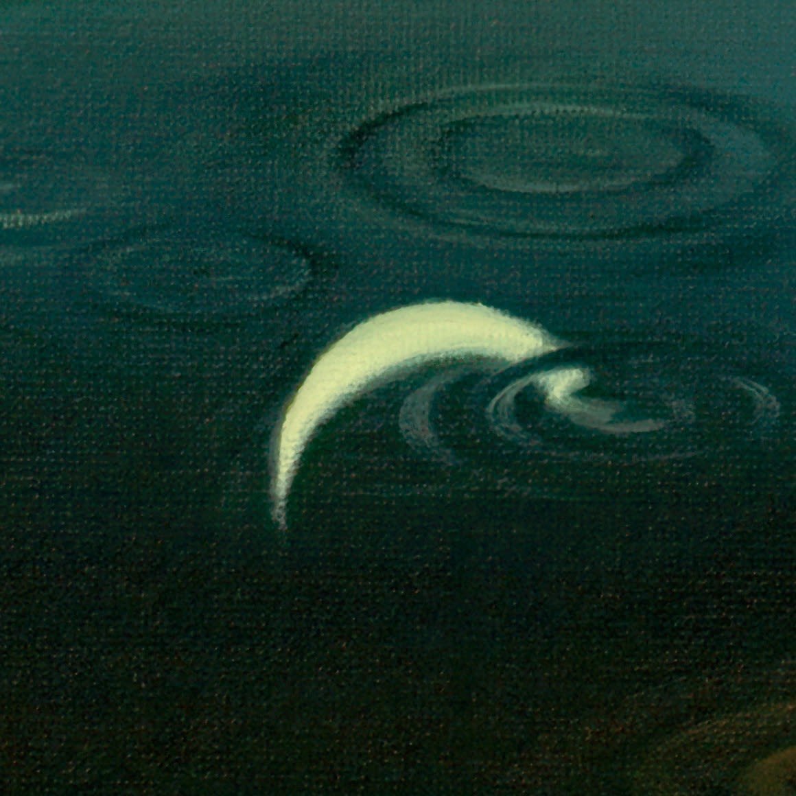 MOONLIGHT JOURNEY