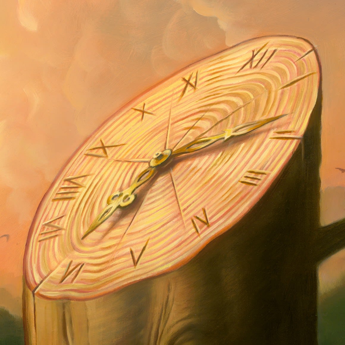 CUCKOO CLOCK