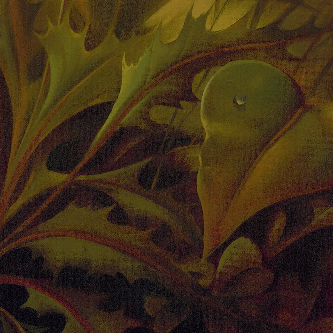 AMARYLLIS