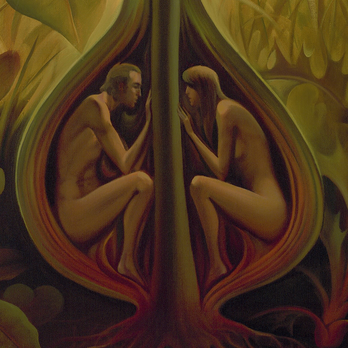 AMARYLLIS