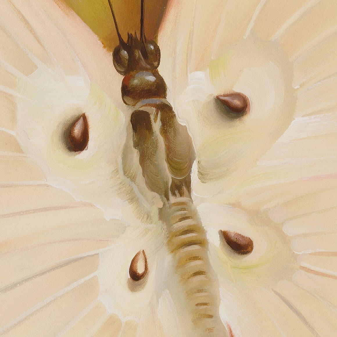 BUTTERFLY APPLE