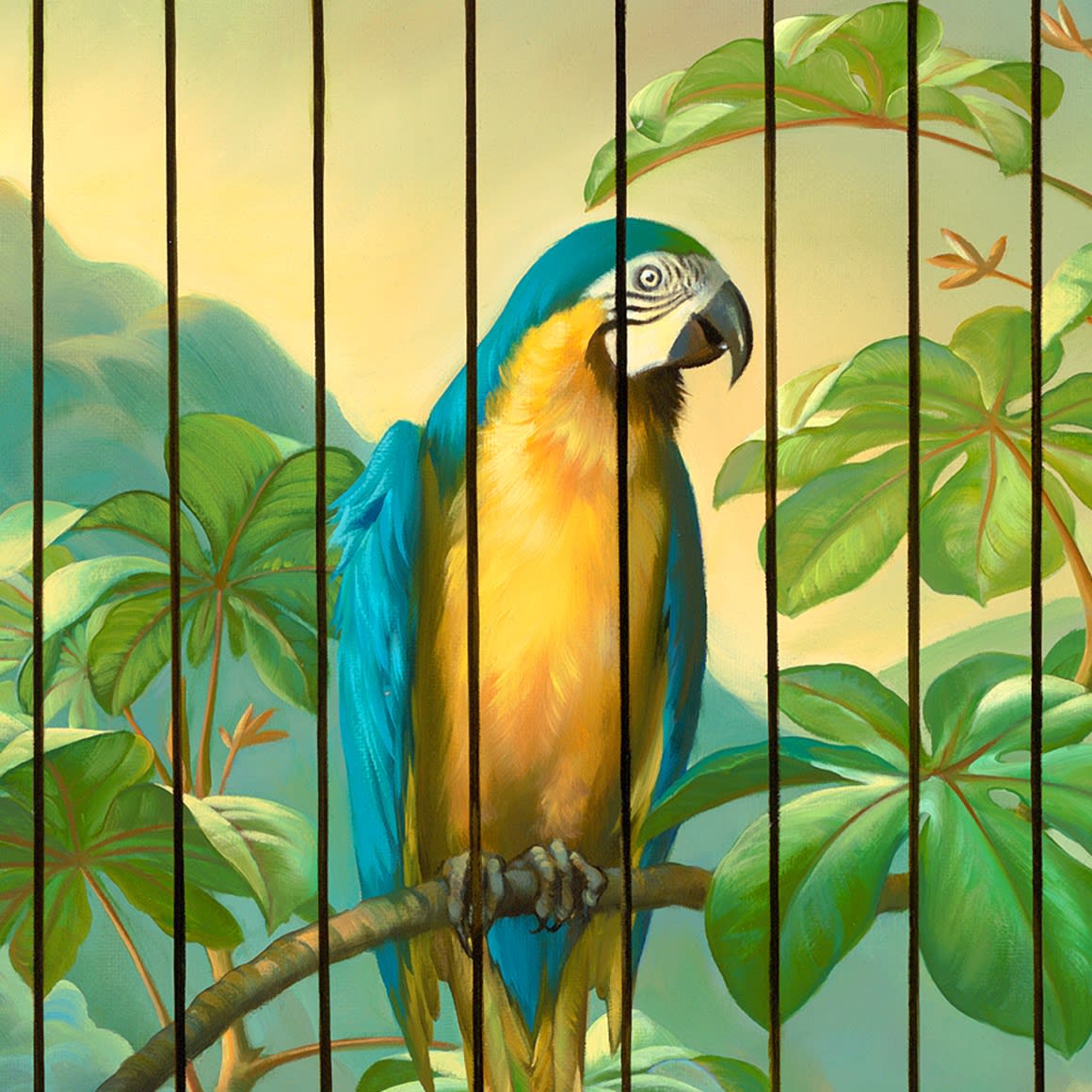 CAPTIVE AUDIENCE