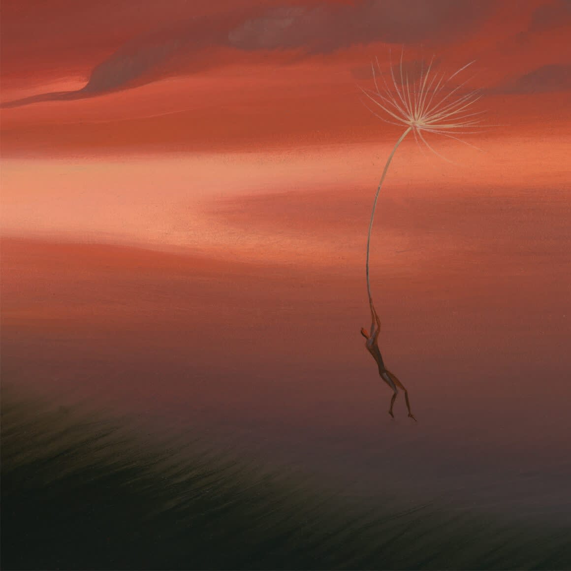 FLOWN WITH THE WIND