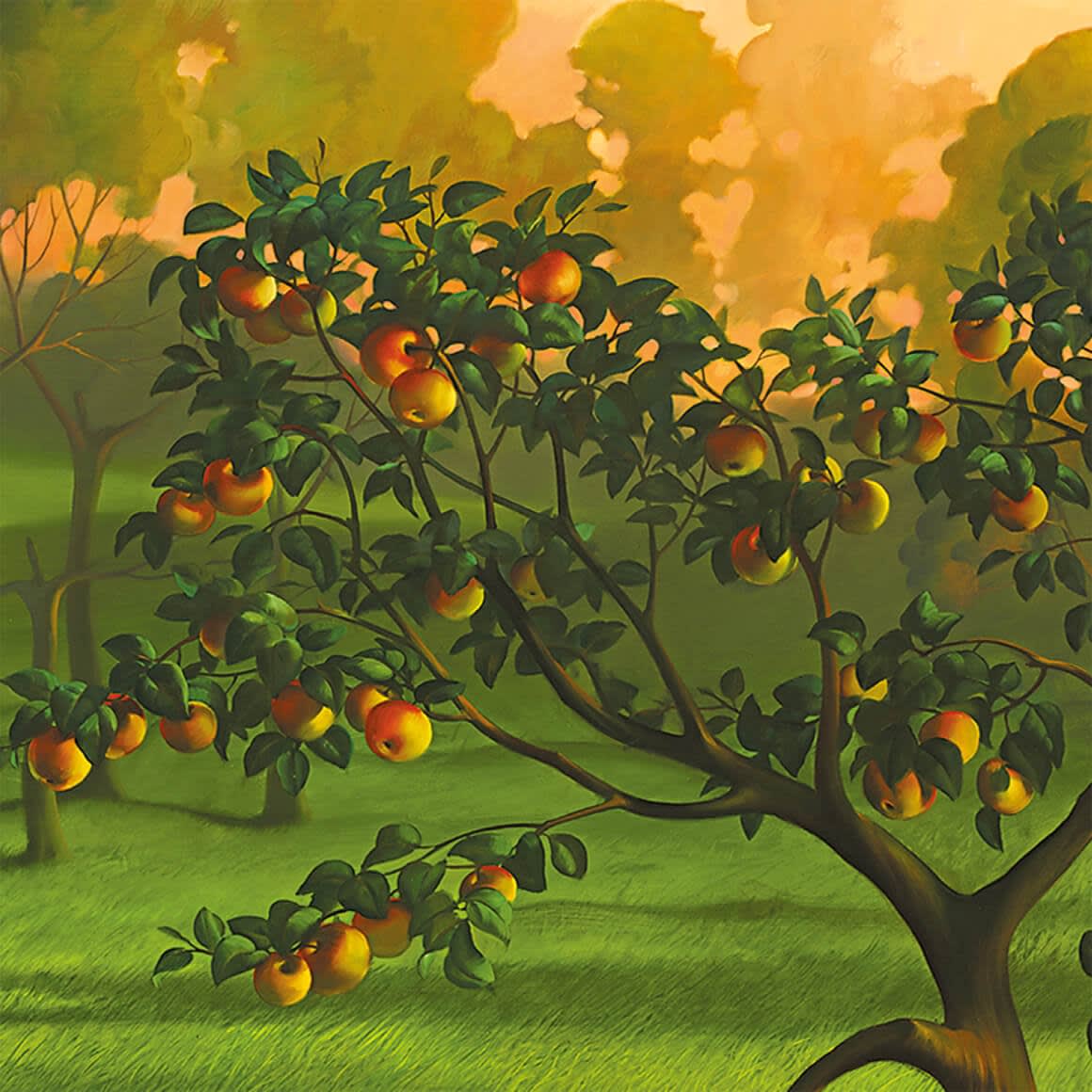 GARDEN POOL - 54 x 79 INCHES