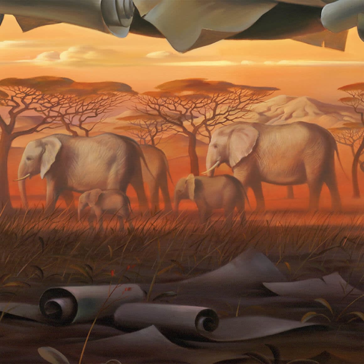 GENEALOGY OF THE WHITE RHINO