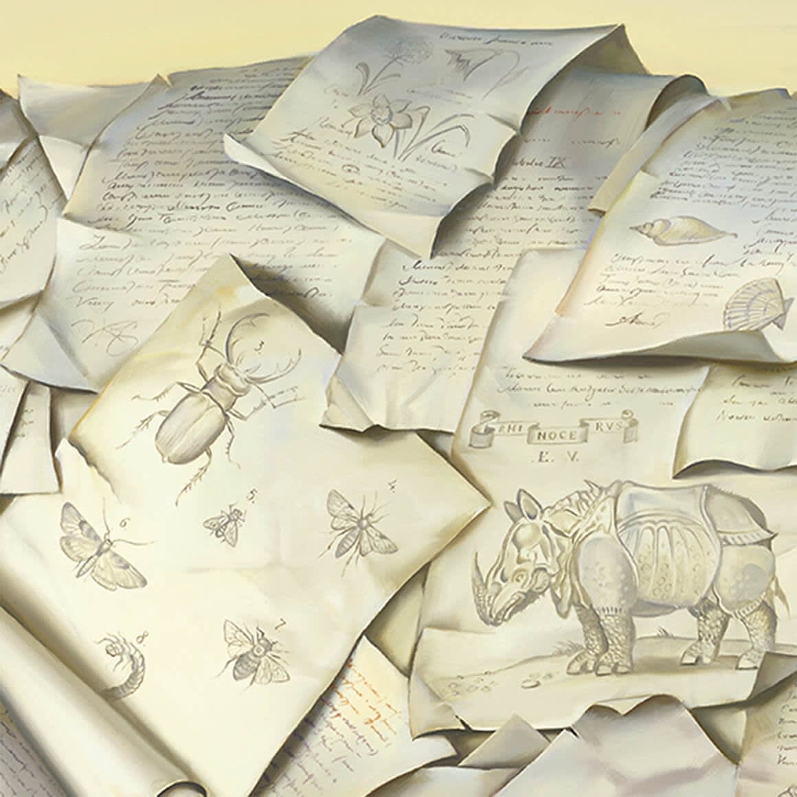 GENEALOGY OF THE WHITE RHINO