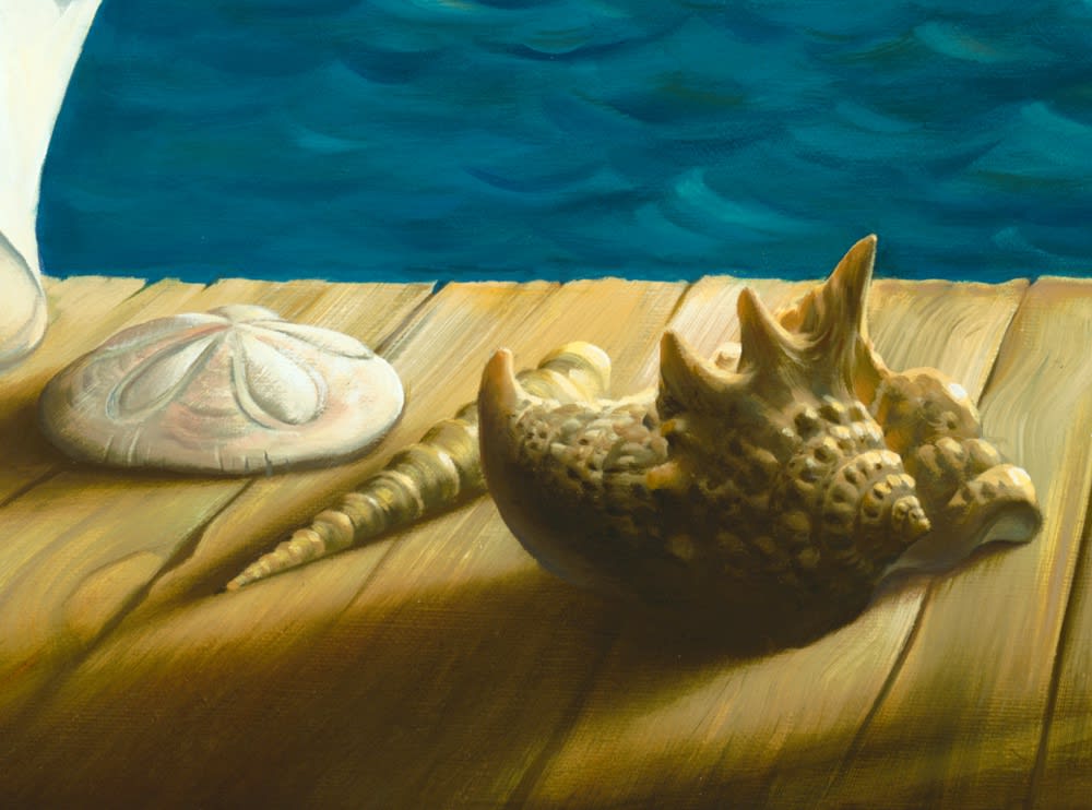 SAFE HARBOR