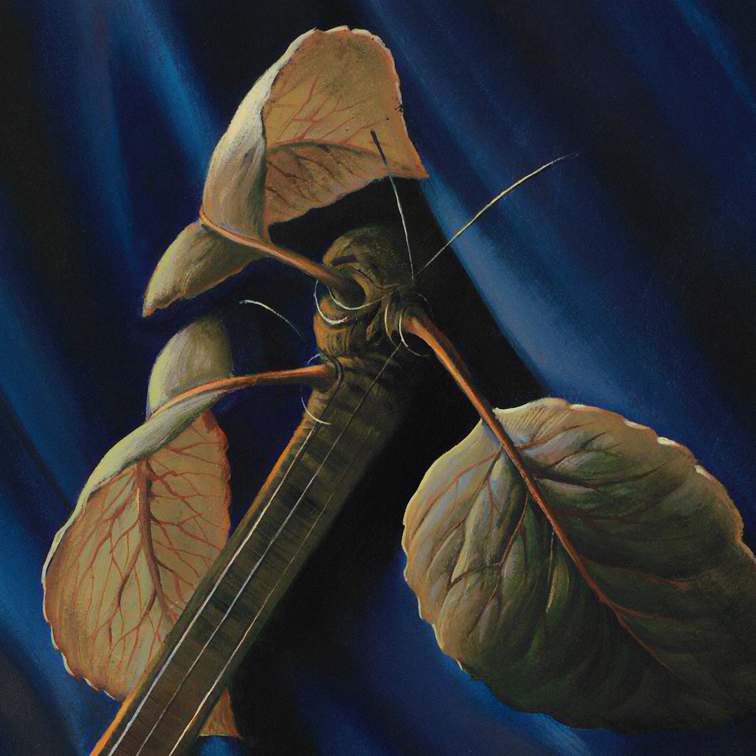 STILL LIFE WITH MANDOLIN