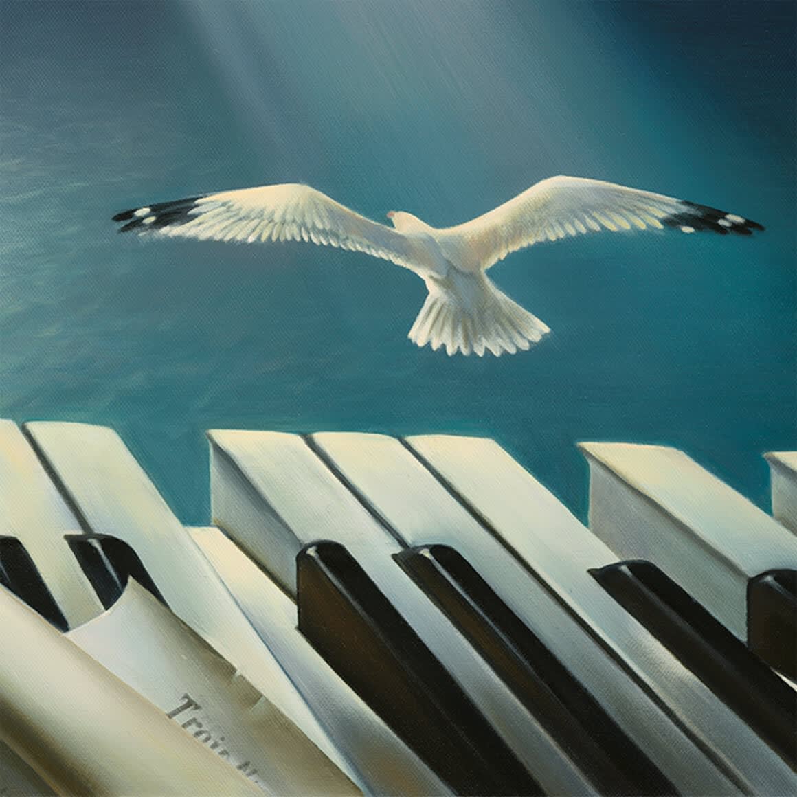 SYMPHONY OF THE SUN